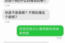 沙洋为什么选择专业追讨公司来处理您的债务纠纷？